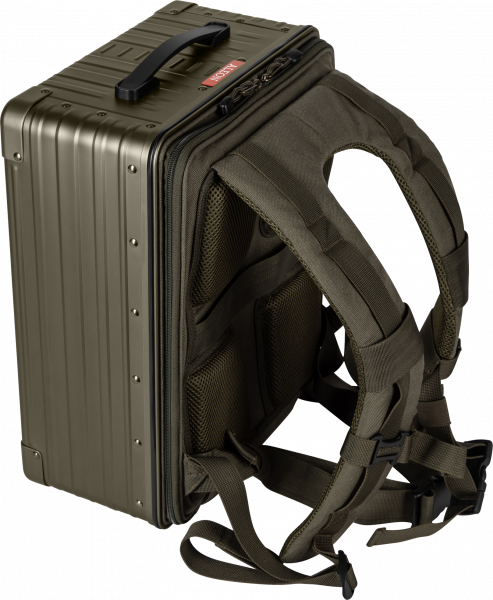 H1700100-BR straps